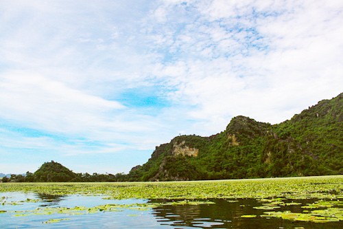 Озеро Куаншон в ханойском пригородном уезде Мидык - ảnh 4